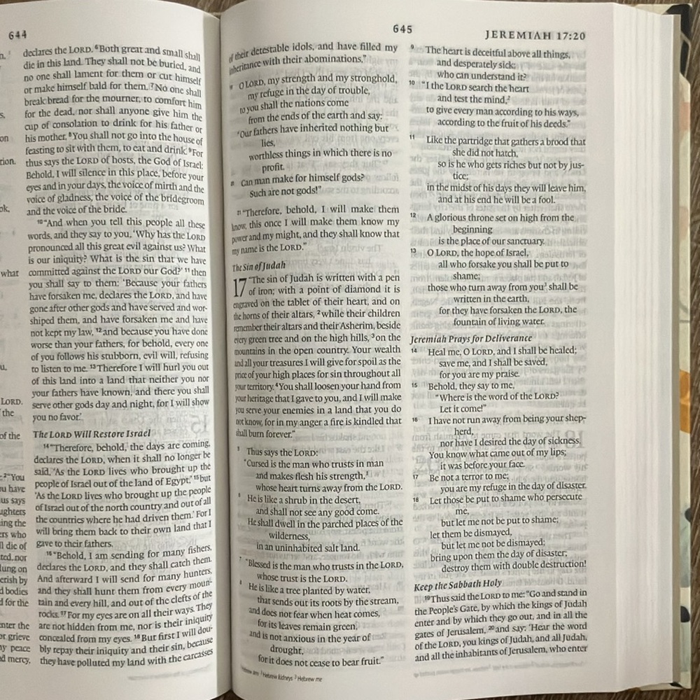 Floral Thinline Bible | ESV Large Print - Picture 4 of 6